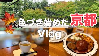 京都Vlog🍁紅葉が始まる庭園に癒される秋の京都！日帰り観光Vlogで巡るおすすめスポット [upl. by Gio]