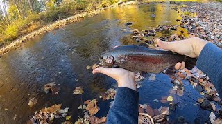 Fall 2024 New Jersey Trout Fishing  Big Stocked Rainbows [upl. by Gilbert449]