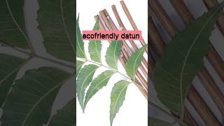 EcoFriendly neem datun Neem datun organic chewstick [upl. by Swainson]