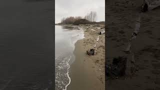 Rainy day walk at Iona beach naturetherapy [upl. by Euqinommod646]