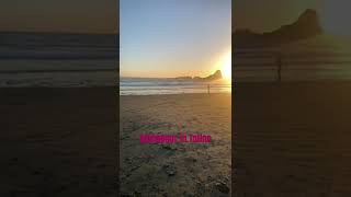 Splendour in Tofino travel beach tofino britishcolumbia hiking sunset [upl. by Flatto667]