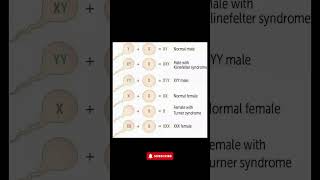 Understanding Chromosomal Disorders Klinefelter Turner Syndrome amp More Explained [upl. by Aneryc588]