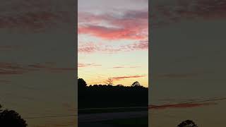 Evening Sunsets and Comets Mysouthernlife southcarolina nature weather comets [upl. by Alviani]