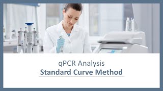 qPCR Analysis  Standard Curve Method [upl. by Svend458]