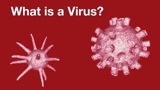 Virology  What is a virus [upl. by Selden974]