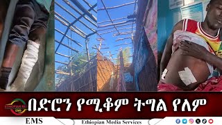 EMS በድሮን የሚቆም ትግል የለም Nov 2024 [upl. by Messing]