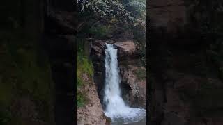 Harvalem North Goa goavibes goa waterfall waterfalls goawaterfall naturevibes [upl. by Htrow]