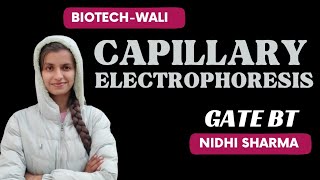 CAPILLARY ELECTROPHORESIS  Analytical TechniquesBIOTECHWALI iit [upl. by Siwel]