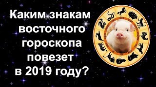 КАКИМ ЗНАКАМ ВОСТОЧНОГО ГОРОСКОПА ПОВЕЗЕТ В 2019 ГОДУ [upl. by Odlavso]