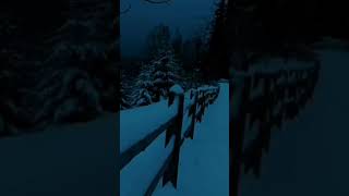 Sowmanmusica nieve Ariina1289 [upl. by Filemon]