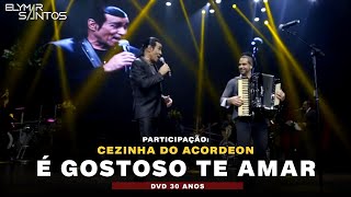 Elymar Santos  É Gostoso Te Amar  DVD 30 Anos [upl. by Flemings]