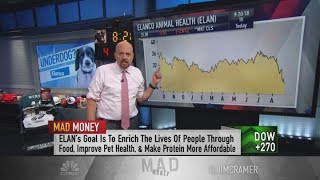 Cramer Investors should buy the dip after Elanco acquires Bayer Animal Health [upl. by Adnorat]