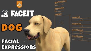 Blender FACEIT Tutorial  Dog Face Rig with FACEIT  Facial Expressions [upl. by Orlan]