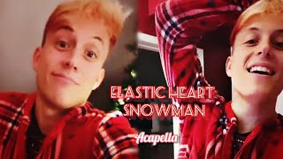 Loic Nottet  Elastic Heart  Snowman  acapella  Sia cover [upl. by Enamrahc]