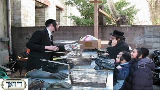 Erev Pesach in Boro Park Part 1 [upl. by Ralyat521]