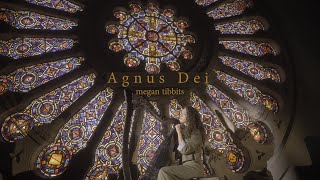 Agnus Dei Official cover by Megan Tibbits [upl. by Idid]