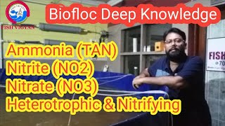 BioFloc me Ammonia  TAN  Nitrite  NO2  Nitrate  NO3  aur Nitrifying bacteria ki sachhai [upl. by Aurel]