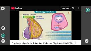 prolactin hormone [upl. by Thinia]