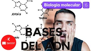 ¿Qué son las BASES NITROGENADAS DEL ADN [upl. by Anisamoht]