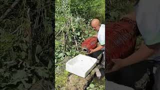 Bamboo cage trap ffish catching process Good tools and machinery can increase work efficiency [upl. by Maribeth41]