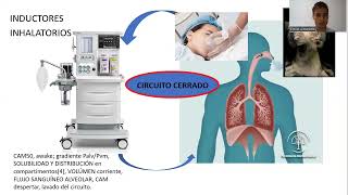 TODO SOBRE INDUCTORES ANESTÉSICOS [upl. by Tremml]