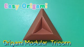 Easy Origami Modular Tricorn [upl. by Haizek15]