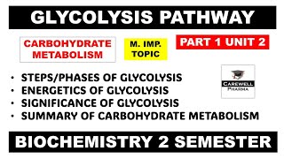 Glycolysis pathway  Carbohydrate Metabolism  Part 1 Unit 2  Biochemistry b pharm 2nd semester [upl. by Jit]