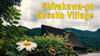 白川鄉合掌村 Shirakawago Gassho Village [upl. by Hebner]