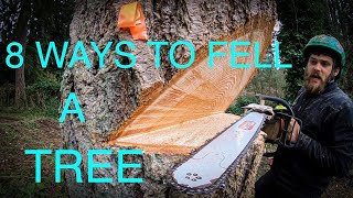 WORLDS BEST TREE FELLING TUTORIAL Way more information than you ever wanted on how to fell a tree [upl. by Amilas]