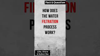 How does the water filtration process work factshorts waterfiltration [upl. by Lawton]