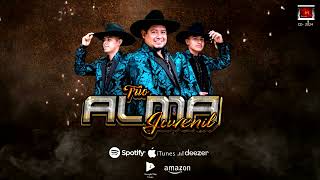 UN SUSPIRO  TRIO ALMA JUVENIL Producción 2024 💽✨️ [upl. by Jesus]