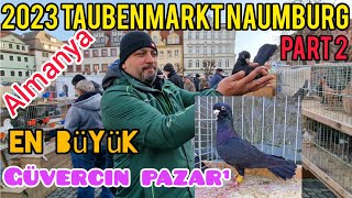 Almanyanin en büyük güvercin pazarı Deutschland größte Taubenmarkt Naumburgaksoyfiloelvanguvercin [upl. by Netnilc]