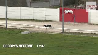 Droopys Nextone  1737  Lifford Stadium Time Trials [upl. by Logan]