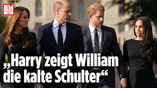 William will Versöhnung der „Fab Four“ Eiszeit im englischen Königshaus  KörpersprachenExperte [upl. by Penrod273]