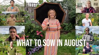 What To Sow In August  The Vegetable Seeds We Are Sowing In August To Keep Our Gardens Productive [upl. by Yorke344]