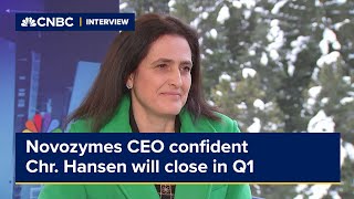 Novozymes CEO is confident its merger with Chr Hansen will close in Q1 [upl. by Lurline]