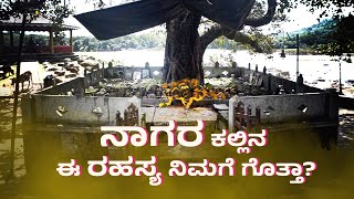 ನೀವು ಪೂಜೆ ಮಾಡುವ ನಾಗರ ಕಲ್ಲಿನ ಈ ರಹಸ್ಯ ನಿಮಗೆ ಗೊತ್ತಾ  Naga Pratishta  Shiva Naga  Thirthahalli [upl. by Mahmoud386]