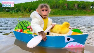 BiBi rowing boat to picnic with duckling [upl. by Mensch]