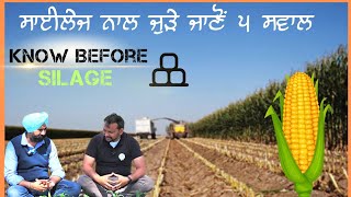 ਸਾਇਲੇਜ ਤੋਂ ਪਹਿਲਾਂ ਇਹ ਜਰੂਰ ਜਾਣ ਲਵੋKNOW BEFORE GOOD SILAGE FOR DAIRY ANIMALS [upl. by Lehrer124]