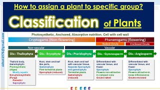 General Classification of plants Thallophyta Bryophyta Pteridophyta Gymnosperms amp Angiosperms [upl. by Haliled826]