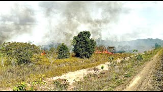 Relatório do IbamaAP alerta sobre aumento de queimadas no estado [upl. by Ossy596]