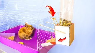 DIY Rabbit Food Dispenser from Cardboard [upl. by Enneira]