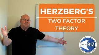 A level Business Revision  Herzbergs Two Factor Theory [upl. by Solohcin190]