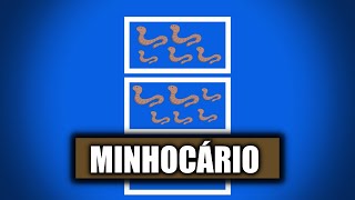 COMO FUNCIONA UM MINHOCÁRIO [upl. by Trilby]