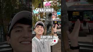 O cachorro mais leal do mundo  japão historia [upl. by Seamus]