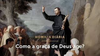 Homilia Diária  Como a graça de Deus opera Terçafeira da 30ª Semana do Tempo Comum [upl. by Juna]