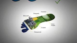 Ecological Footprint and Carbon Footprint Explained [upl. by Einiar]