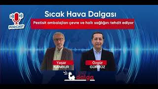 Pestisit ambalajları çevre ve halk sağlığını tehdit ediyor [upl. by Sudhir]