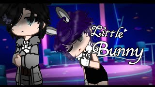 Little bunny🐇GayBLboy loveGCMMGacha club mini movie 15 [upl. by Nhor392]