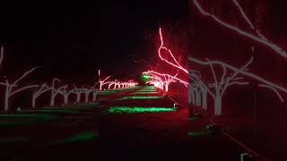 Kew Gardens  Christmas Light Show [upl. by Hadleigh]